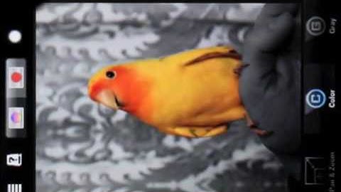 ColorSplash 1.1 update (iPhone version)