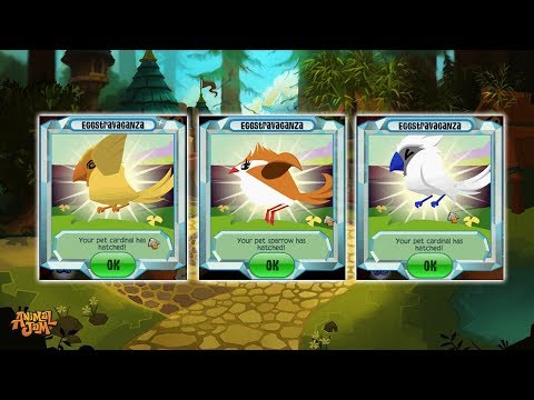 COMO CHEGAR PET CARDINAL EM ANIMAL JAM! ????