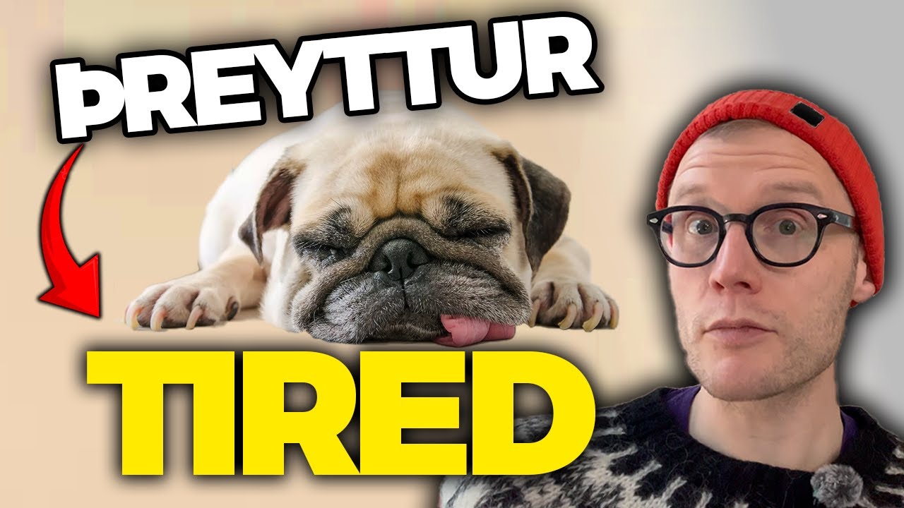 Adjectives in Icelandic 🇮🇸