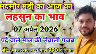 मंदसौर मंडी का आज का लहसुन का भाव | Aaj Ka Lahsun Ka Bhav | Lahsun Ka Bhav Aaj Ka | Garlic Rate  screenshot 5