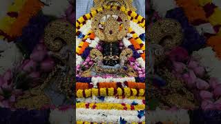 Mko pta h baba ap ho #shyam #khatubhajans #jaishreeshyam #khatuwalekasahara