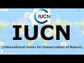 Iucn international union for conservation of nature  international organization  narviacademy