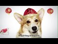 Happy Chinese New Year Dog 2018 Gong Xi Fa Cai Happy Chinese New Year Dog 2018 Gong Xi Fa Cai