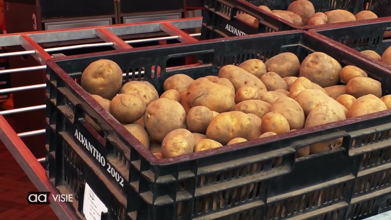 Lex ontdekt Almelo; de binnenstad