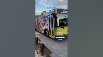 #bus #buses #driving #transport #wow #best #awesome #lion #king #amazing #disney #video #shorts