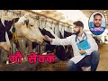 जाय गौ माता आज हम लोगो ने निवाड़ी में गो माता का इलाज किया हे 🐄🐄