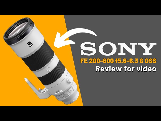 【豪華おまけ付 】 Sony FE 200-600mm F5.6-6.3G Amazon.com : Sony FE 200-600mm F5.6-6.3 G OSS Super Telephoto Zoom