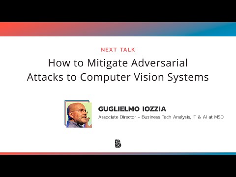 How to Mitigate Adversarial Attacks to Computer Vision Systems by Guglielmo Iozzia