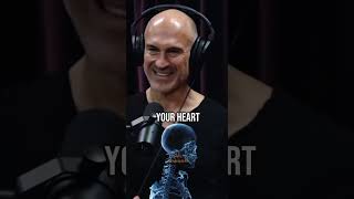How to build Endurance and Cardio the right way when running - Pavel Tsatsouline & Joe Rogan Podcast