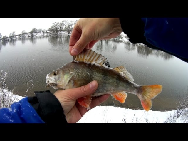 Рыбалка на спиннинг зимой на нижней Москве-реке.