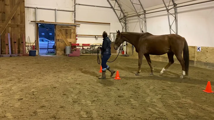 Amanda Theriault and Regal Moment-Horse Agility Fa...