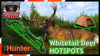 Beginner Guide: Whitetail Deer | theHunter Classic screenshot 4