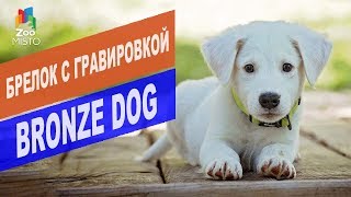 Брелок с гравировкой Bronze Dog | Обзор брелка с гравировкой Bronze Dog