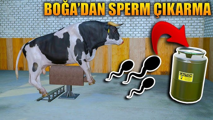 Uy qurilishi ruscha tasmali jinsiy aloqa video