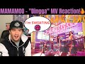 MAMAMOO - "Dingga" MV Reaction! (They Killing US)