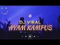 Ayam kampusryan junior  remix  dj viral tiktok new 2024  anggalatief official