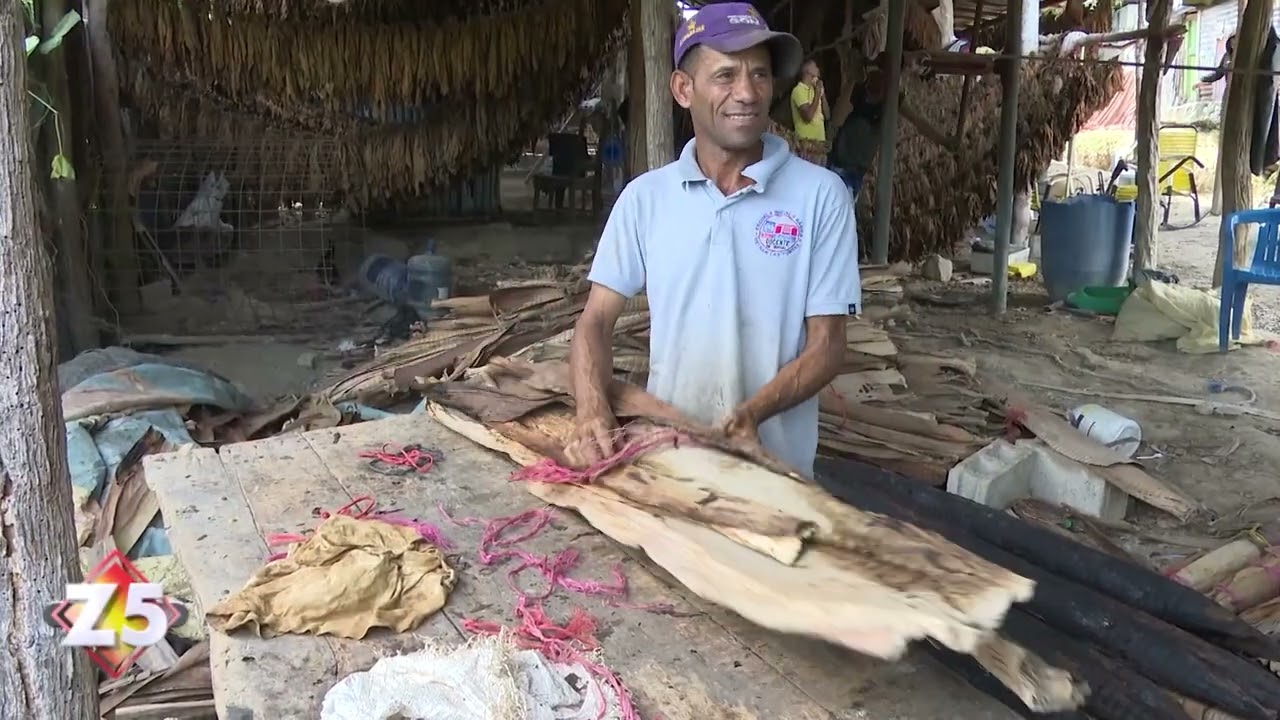 Productores de tabaco en Azua a punto de desaparecer | Zona 5