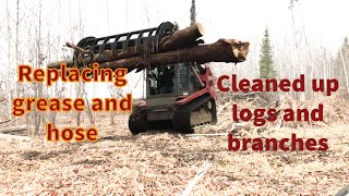 Cleaning up trees and branches