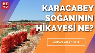 Organik tarım nasıl yapılır? | Miras Anadolu - 23 Temmuz 2021