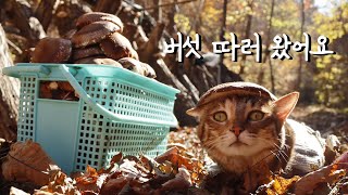 저는 할머니가 하는 말 다 알아들어요. 할머니랑 버섯 따러 왔어요!