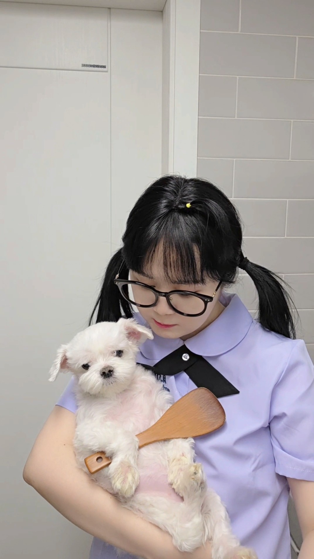 강아지가 밥을 해줘요??My dog cooked for me #funny #TeamYELLOWHAT