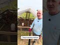 Four chicken tractors on North Georgia pasture #farming #chicken #business 