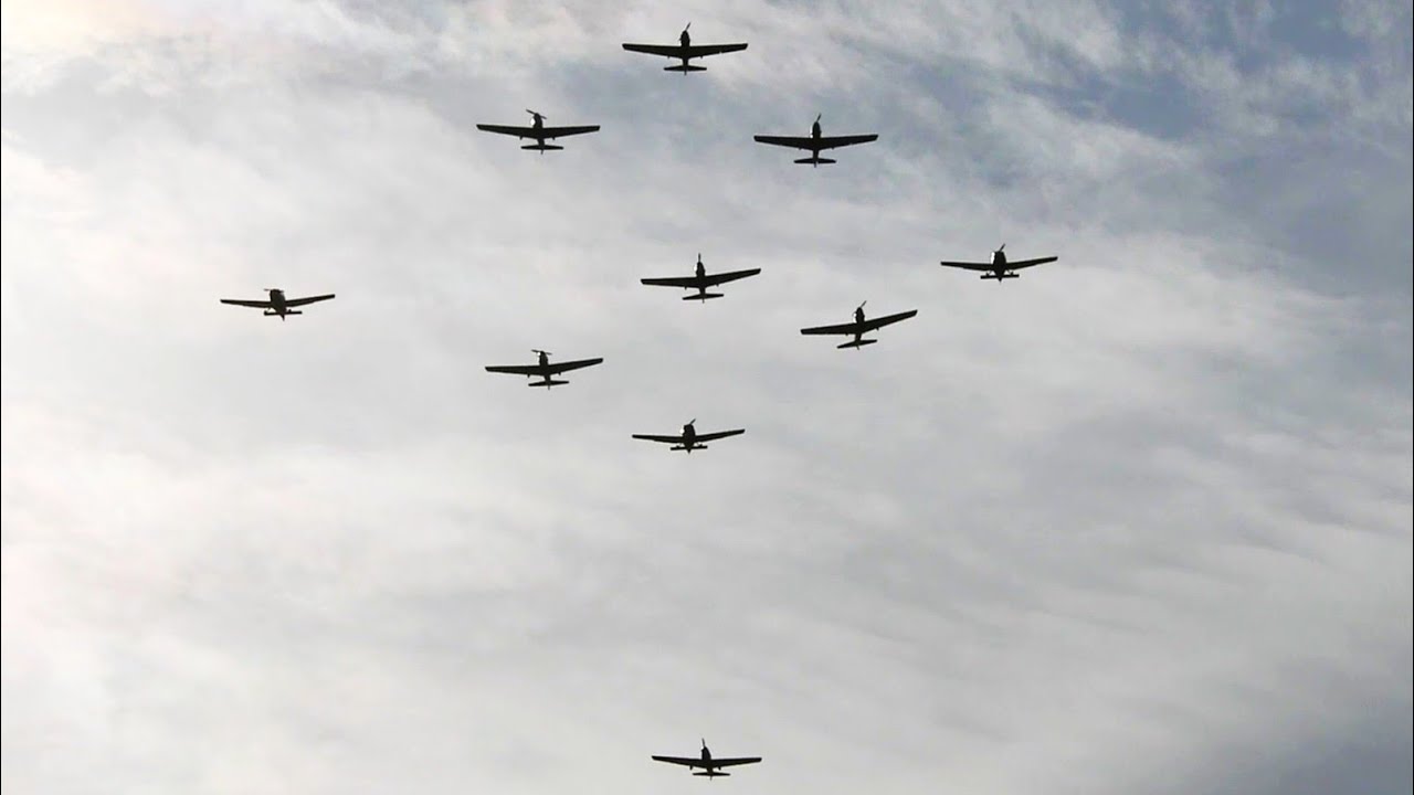 A Fantasic Afternoon of Chipmunk and Bulldog Displays!