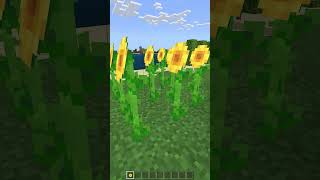 10 things you probably didn't know about Minecraft | 10 Minecraft facts