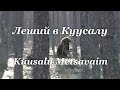 Леший в Куусалу / Kuusalu Metsavaim