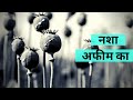 भारत में अफीम का इतिहास | DataBaaz I Hindi News Video Khabaren I Bharat Mein Afeem Ka Itihaas