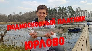 Платный пруд в Юрлово. Ловля форели, платная рыбалка 2019