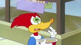 Woody Woodpecker Show | Dr Buzzard's Time Chamber | Full Episode | Videos For Kids HD
