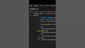 How to assign variables in Python