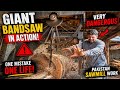 Massive Wood Cutting Machine Process Giant Bandsaw Timber Cutting in Pakistan