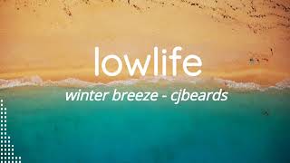 Winter Breeze - Cjbeards (No Copyright Music)