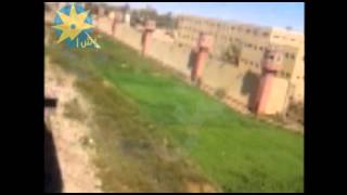 بالفيديو         مزرعة سجن اسيوط تروى بمياة الصرف الصحى