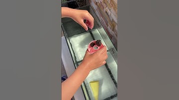 Sink or float? #sinkorfloat #science #density #buoyancy #experiment #sink #float