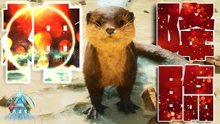 【ASA】もふ神降臨⁉ASAでもふもふに磨きがかかったカワウソ様をテイムせよ‼ #04【新恐竜島での漂流ARK生活】