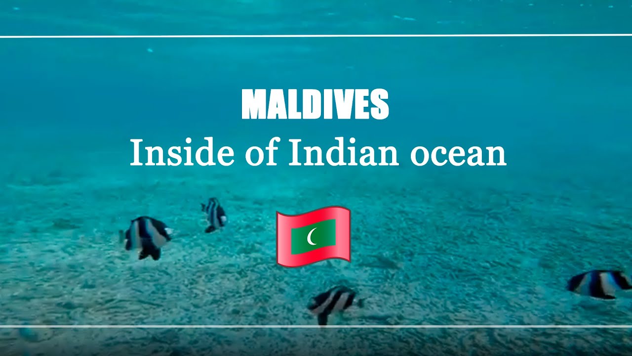 Indian ocean inside - YouTube