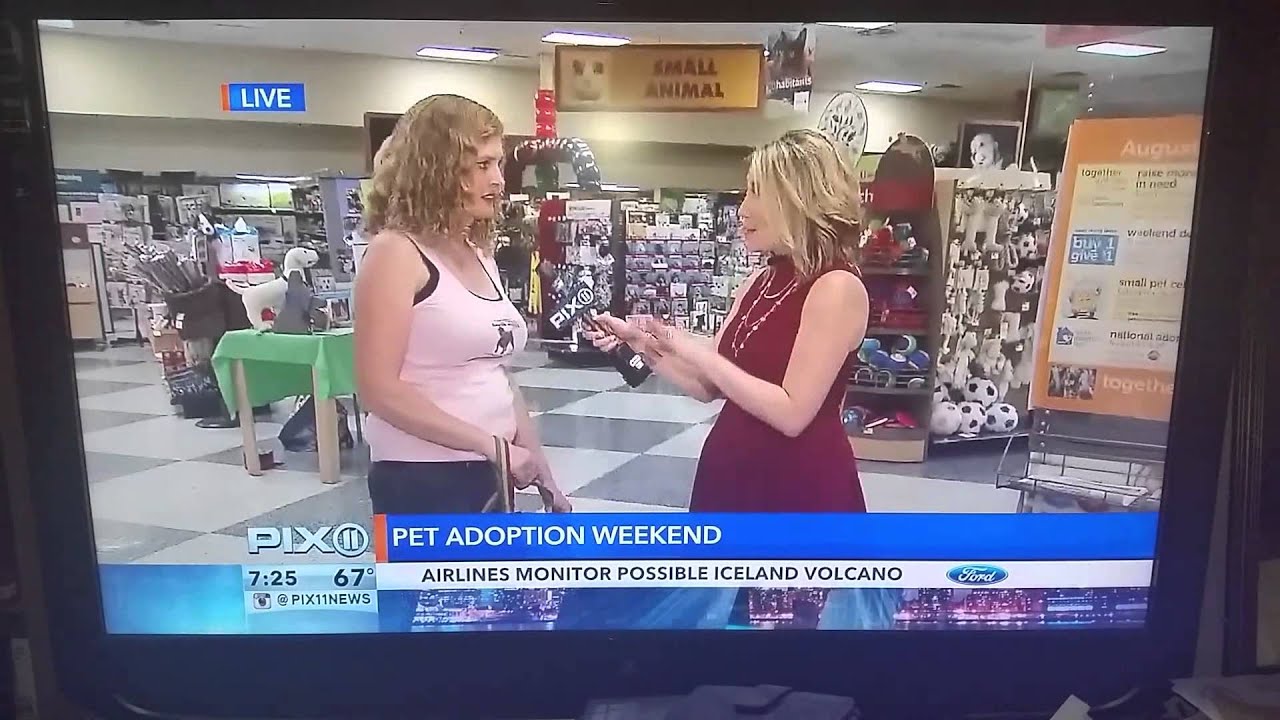 Pix 11 news YouTube Pix 11 news YouTube