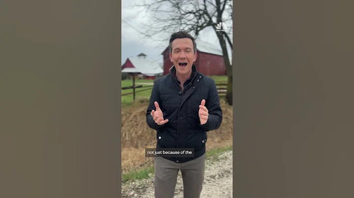 Iowa farmers prepare for big losses as Trump's trade war escalates