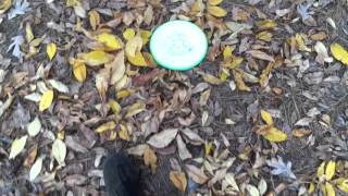 Axiom Soft Proxy - Test Video screenshot 5