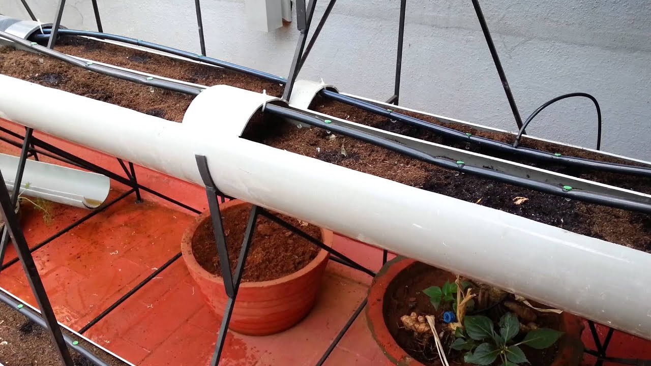 Veggie garden using pvc pipes YouTube