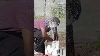 Famous Exploding Bait Purse Prank With Paint Wealth