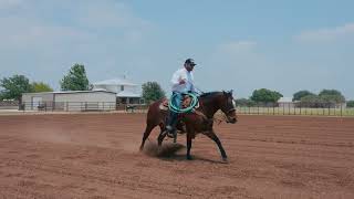 The Armstrong Ranch — 241 County Road 336, Tuscola
