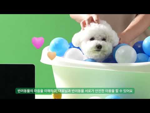 YouTube 동영상