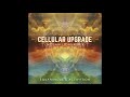 Equanimous  activation  cellular upgrade we saw lions remix