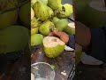 Watch This Perfect Coconut Cut!#coconut #shorts #satisfying