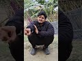Papa ये हमको गाली सिखा रहा था..🤣 l Shekh Vines l #papa #student #shorts