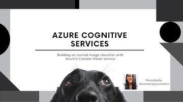 Animal image Classifier with Microsoft Azure